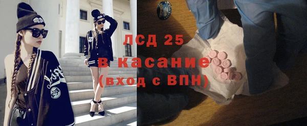 индика Белоозёрский