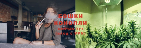 PSILOCYBIN Белокуриха