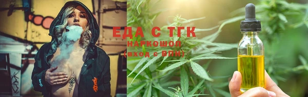 индика Богородицк