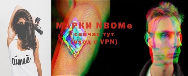 индика Богородицк