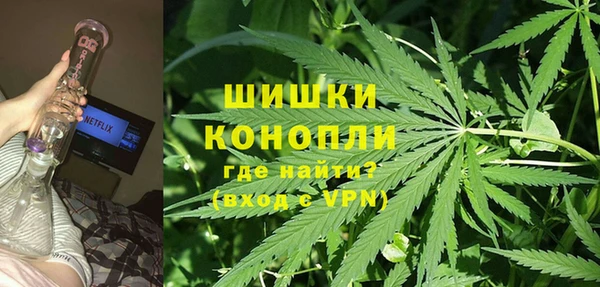дживик Богородск