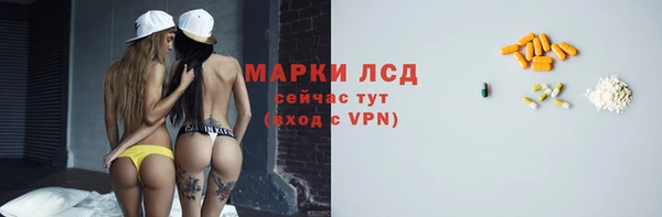 PSILOCYBIN Белокуриха