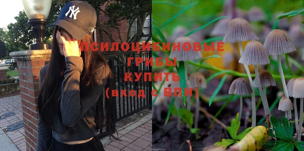 спайс Беломорск