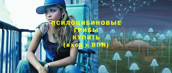 дживик Богородск