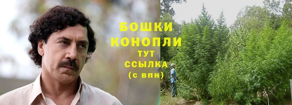 шишки Богданович