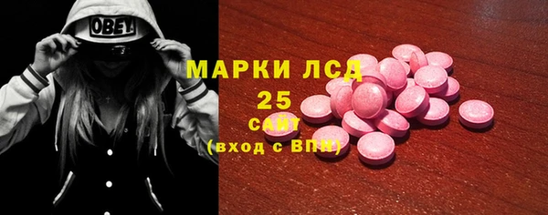 индика Богородицк