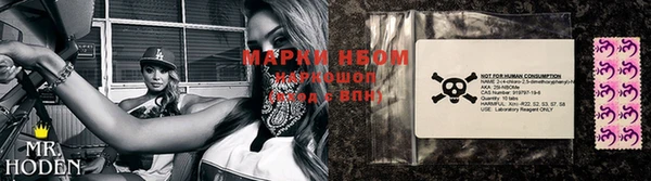 индика Белоозёрский